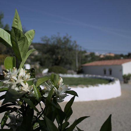 Cosy Farmhouse Quinta Da Eira 140 Years Old Loulé Extérieur photo